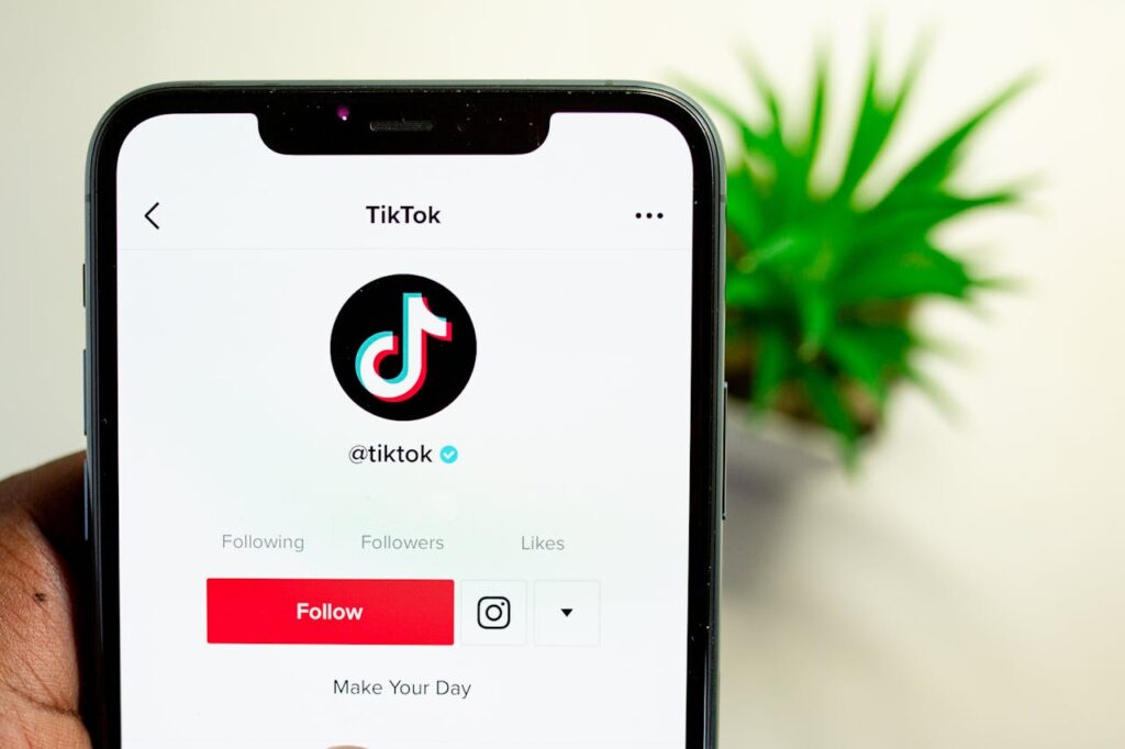 comprar seguidores no tiktok